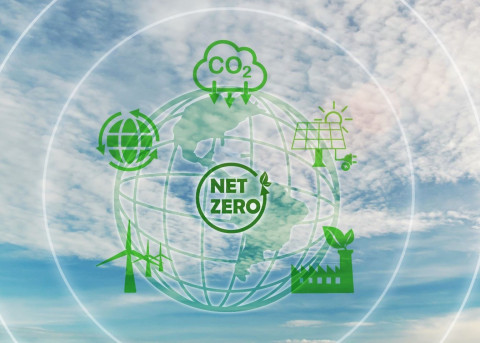 Net zero 